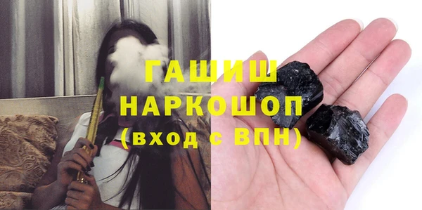 индика Вяземский