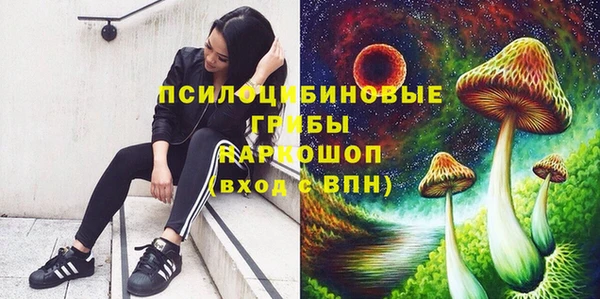 индика Вяземский