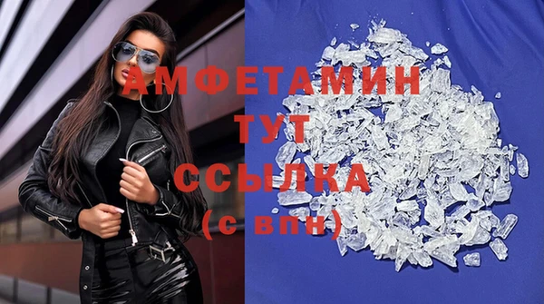 индика Вяземский