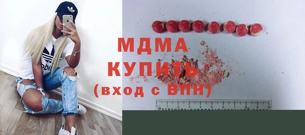 индика Вяземский
