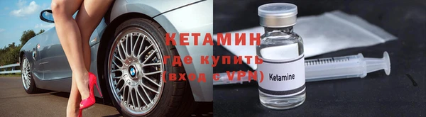индика Вяземский