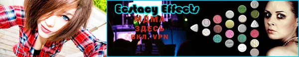 индика Вяземский