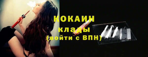 индика Вяземский