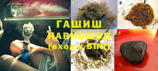 индика Вяземский
