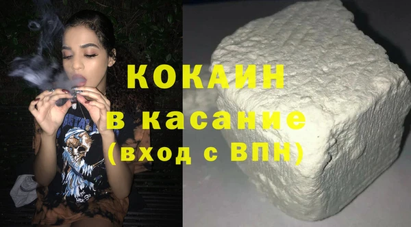 индика Вяземский