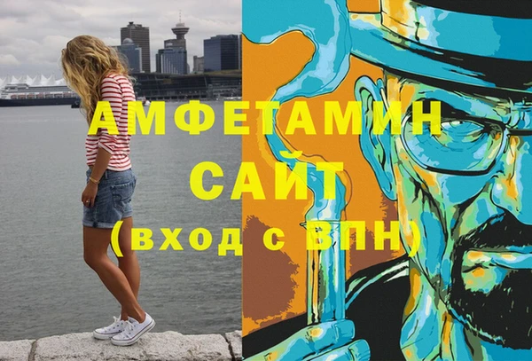 индика Вяземский