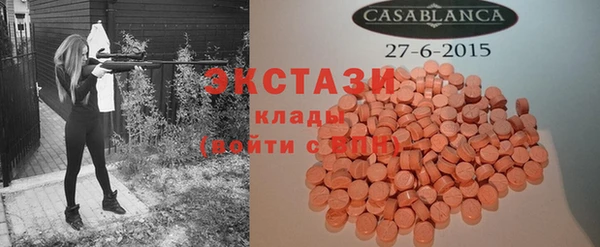 индика Вяземский