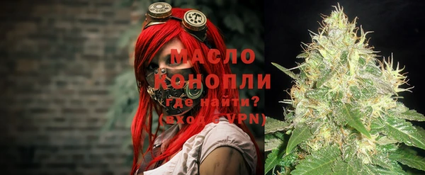 индика Вяземский