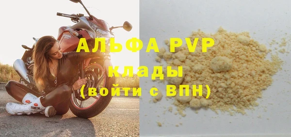 индика Вяземский