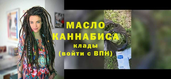 индика Вяземский