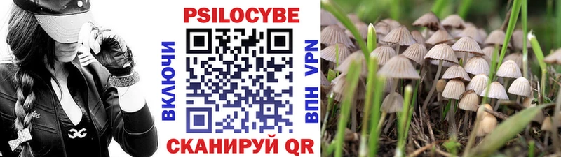 Галлюциногенные грибы Psilocybe  Купить  Пенза 